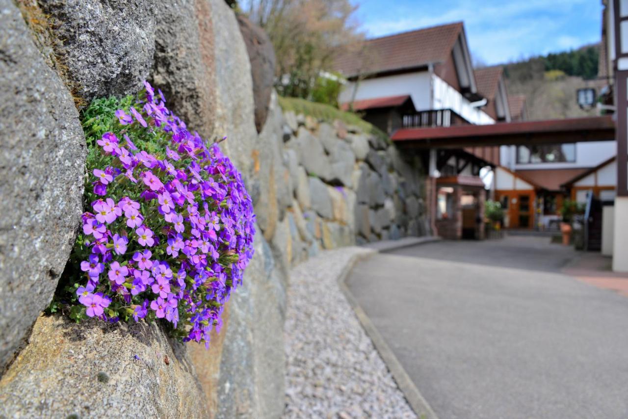 Relaxhotel Tannenhof Sasbachwalden Exteriér fotografie